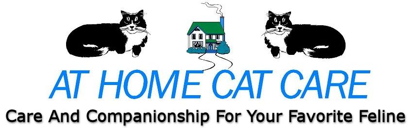 At Home Cat Care header